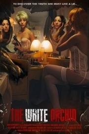 Белая орхидея (White Orchid) 2018
