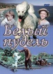 Белый пудель 1955