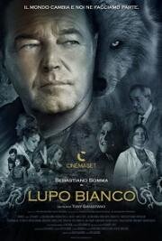 Белый волк (Lupo Bianco) 2021