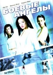 Боевые ангелы (Chik yeung tin si) 2002