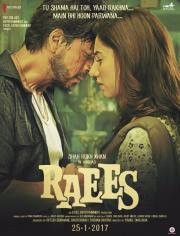 Богатей (Raees) 2017