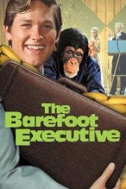Босоногий директор (Босой руководитель) (The Barefoot Executive) 1971