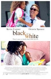 Чёрное или белое (Black or White) 2014