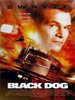 Черный пес (Black Dog) 1998