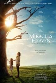 Чудеса с небес (Miracles from Heaven) 2016