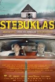 Чудо (Stebuklas) 2017