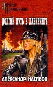 Долгий путь в лабиринте 1981