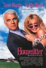 Домохозяйка (HouseSitter) 1992