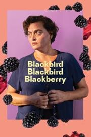 Дрозд, дрозд, ежевика (Shashvi shashvi maq'vali (Blackbird Blackbird Blackberry)) 2023