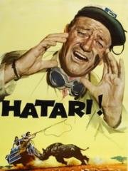Хатари! (Hatari!) 1962