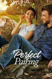 Идеальное сочетание (A Perfect Pairing) 2022