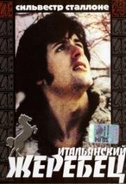 Итальянский жеребец (Жеребец на вечеринке у Китти) (Italian Stallion) 1970