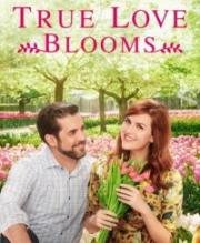 Когда расцветает любовь (True Love Blooms) 2019