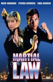 Комендантский час (Martial Law) 1991