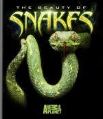 Красота змей (The Beauty Of Snakes) 2005