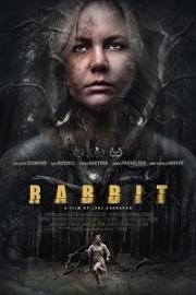 Кролик (Rabbit) 2017
