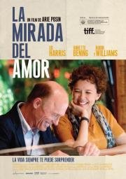 Лицо любви (The Face of Love) 2013
