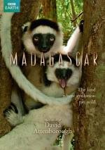 BBC: Мадагаскар (Madagascar) 2011