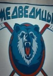Медведицы 2015