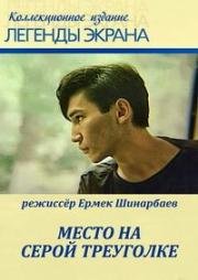 Место на серой треуголке 1993