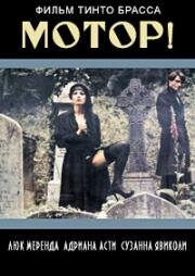 Мотор! (Action) 1979