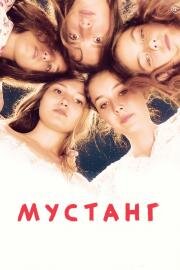 Мустанг (Mustang) 2015