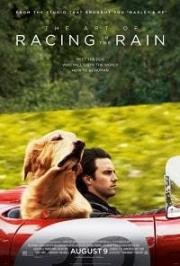 Невероятный мир глазами Энцо (The Art of Racing in the Rain) 2019