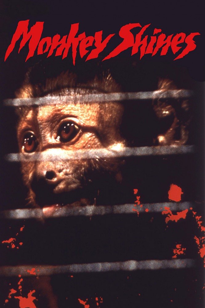 Обезьяна - убийца (Monkey Shines) 1988