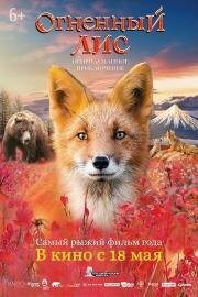 Огненный лис 2024