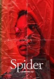 Паук (Spider) 2022