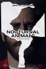 Под покровом ночи (Nocturnal Animals) 2016