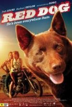 Рыжий пес (Red Dog) 2011