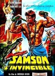 Самсон против пиратов (Самсон и пираты) (Samson Against the Pirates (Sansone contro i pirati)) 1963