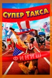 Супер Такса (Wiener Dog Internationals) 2015