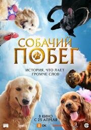 Собачий побег (Valatty) 2023