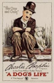 Собачья жизнь (A Dog's Life) 1918