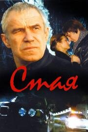 Стая 2008