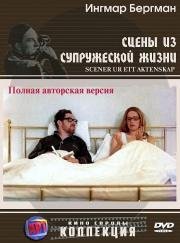 Сцены из супружеской жизни (Scener ur ett aktenskap) 1973