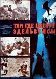Там, где цветут эдельвейсы 1965