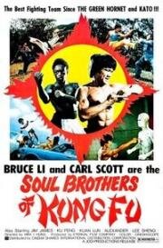 Тигр нападает снова (Тигр наносит ответный удар) (Bei po (Soul Brothers of Kung Fu, The Tiger Strikes Again)) 1977