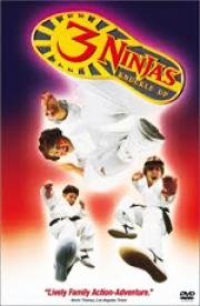 Три ниндзя (3 Ninjas) 1992