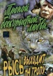 Тропой бескорыстной любви, Рысь выходит на тропу 1971