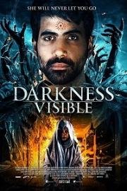 Видимая тьма (Darkness Visible) 2019