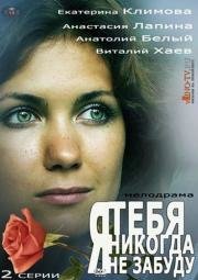 Я тебя никогда не забуду 2013