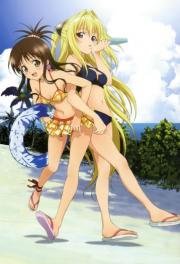 Любовные неприятности (To Love-Ru) 2008