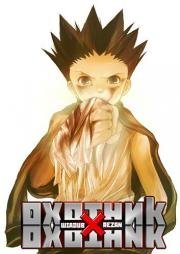 Охотник х Охотник (Hunter x Hunter) 2011