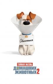 Тайная жизнь домашних животных 2 (The Secret Life of Pets 2) 2019