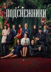 Подснежники 2025